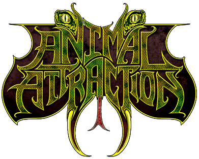 Logo Animal Attraction